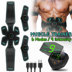 Fitness muscle stickers